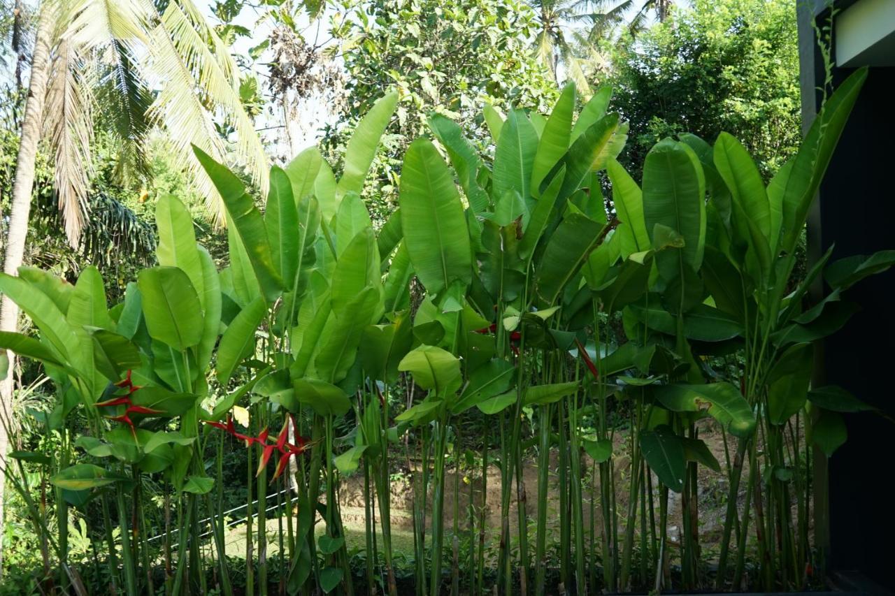 Six Cubes Ubud Hotel ภายนอก รูปภาพ